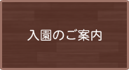 入園のご案内