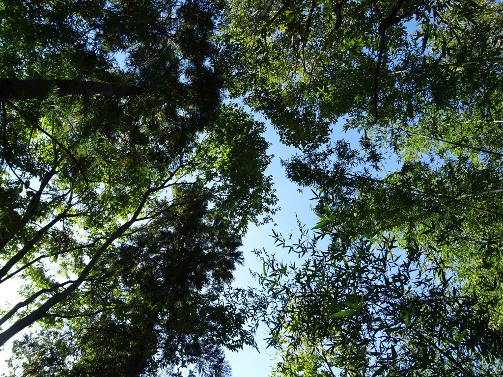 DSC01861