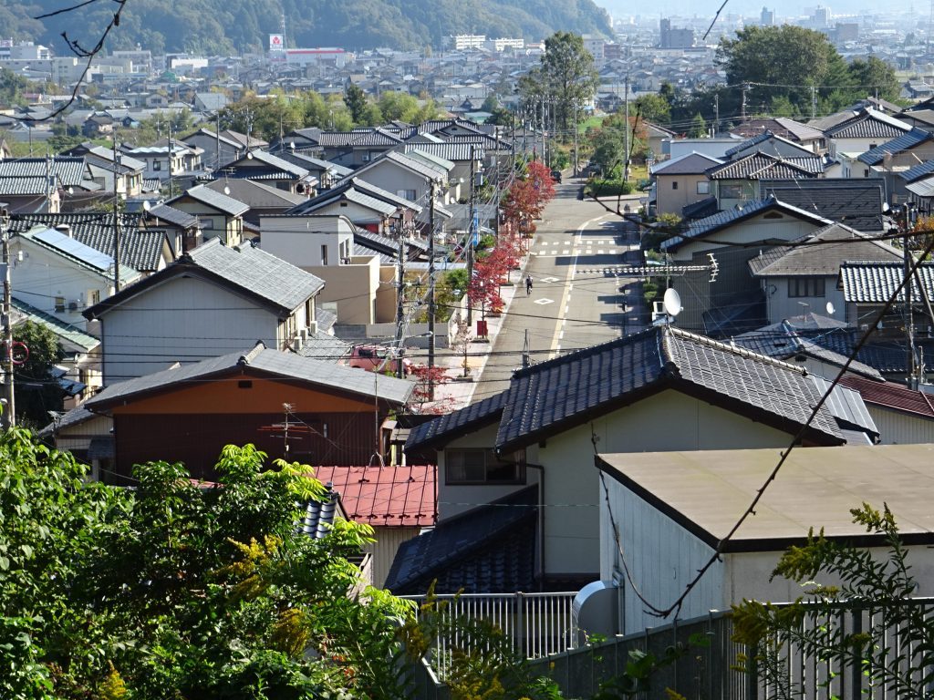 DSC01874