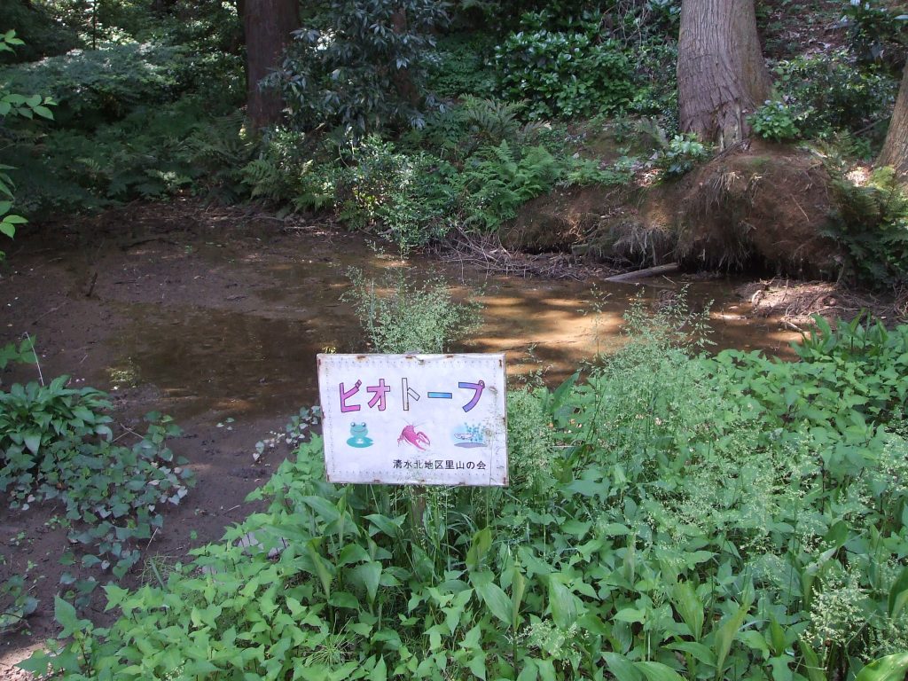 DSCF6746