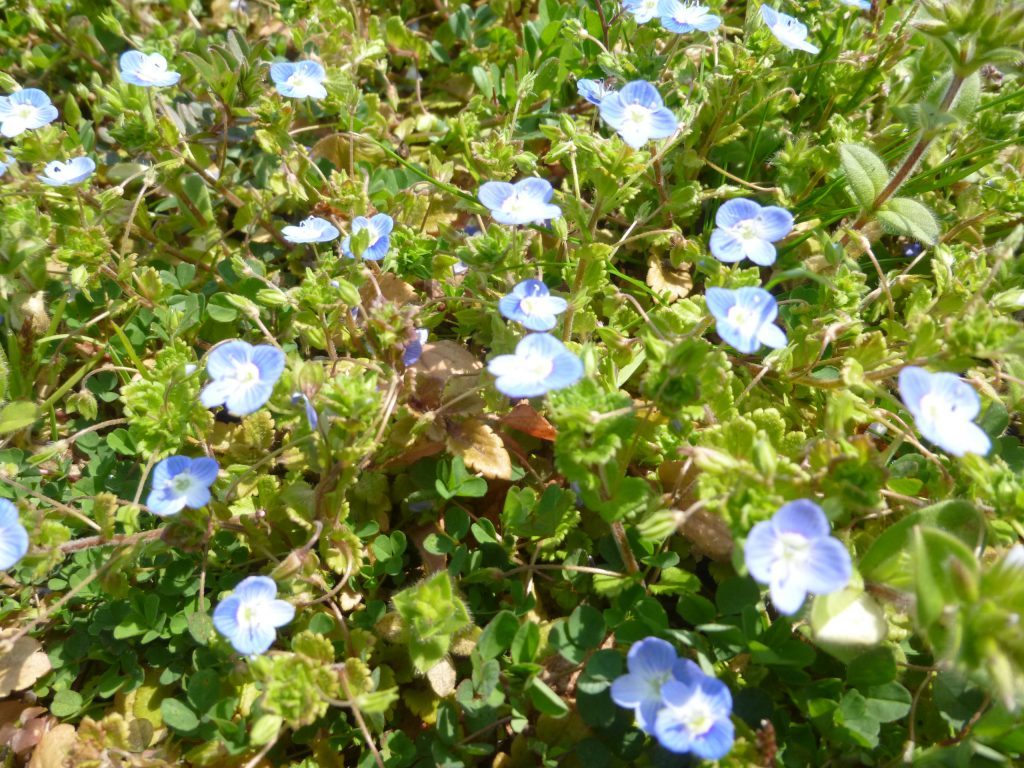 P1110269