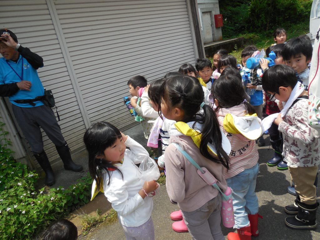 DSCN6982