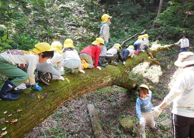 里山自然体験
