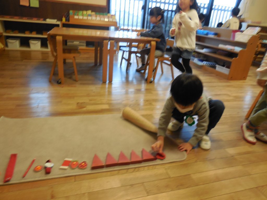 DSCN6248