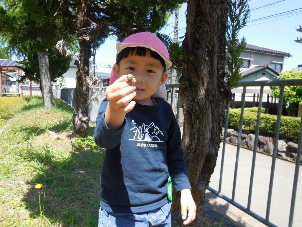 DSCN6429