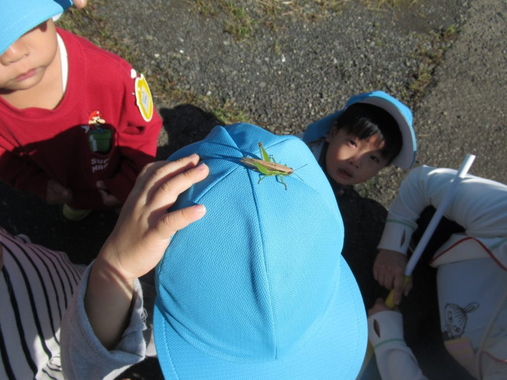 IMG_1291